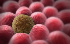 cancer cell fight against cancer
